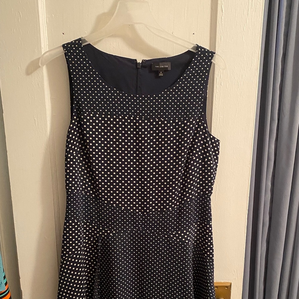 The Limited Blue Dress